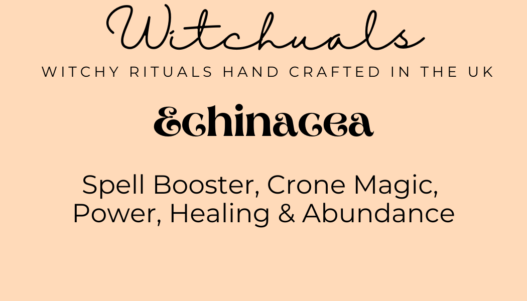 Echinacea