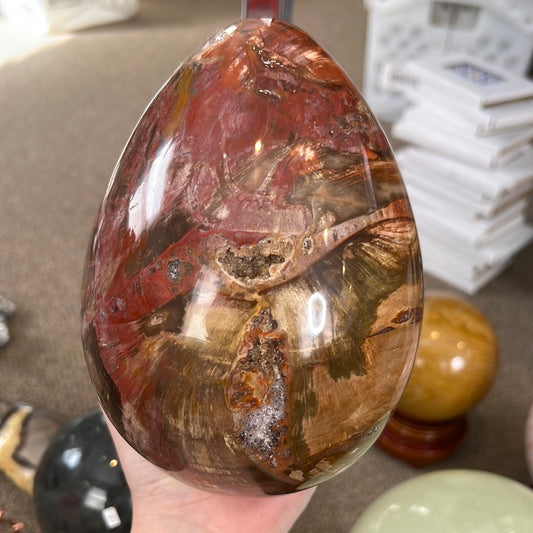 Huge Petrified Wood Egg