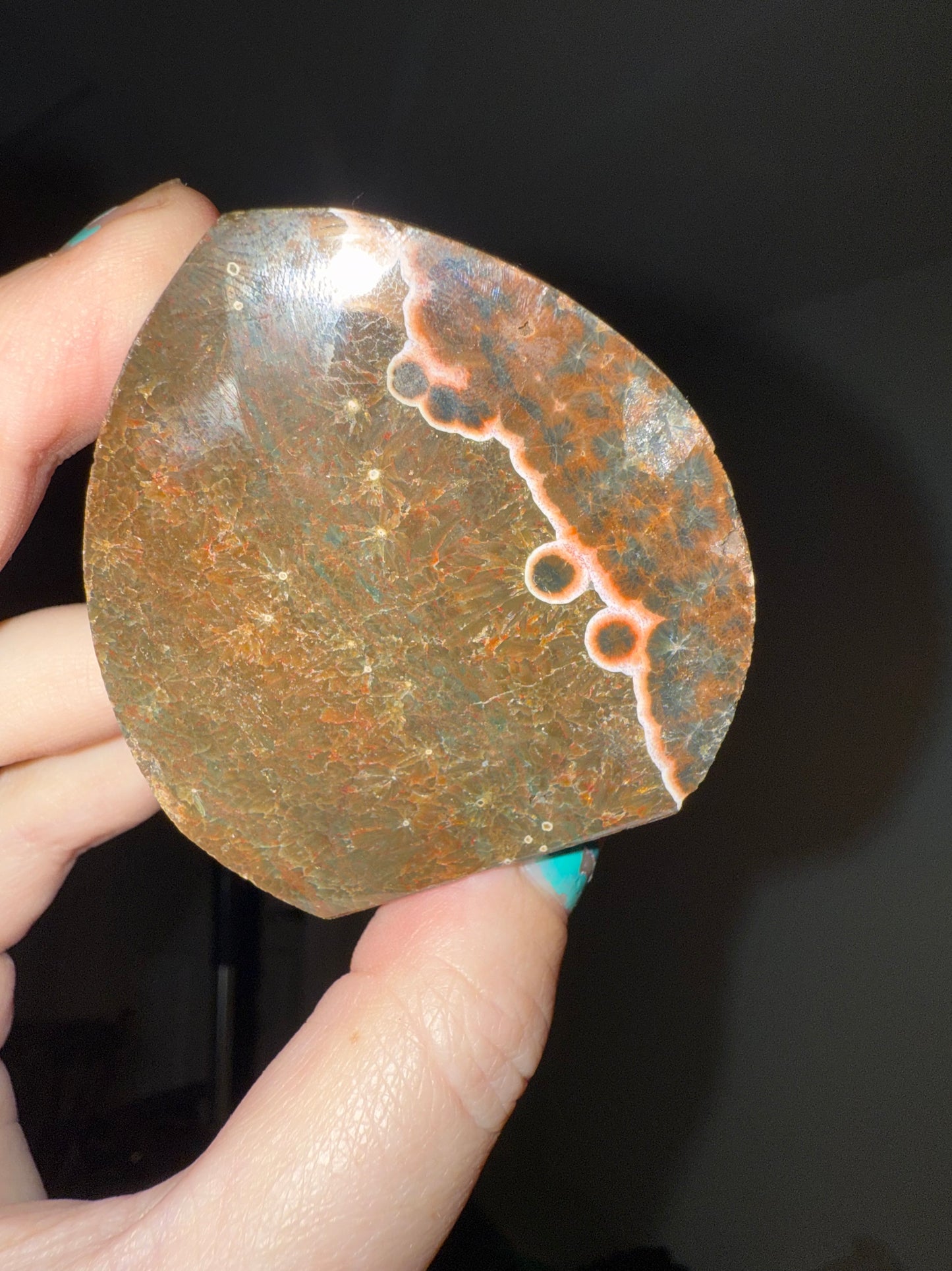 Ocean Jasper Teardrop Freeform