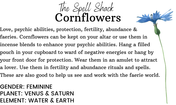 Cornflowers