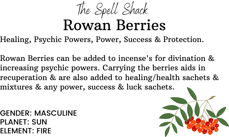 Rowan Berries