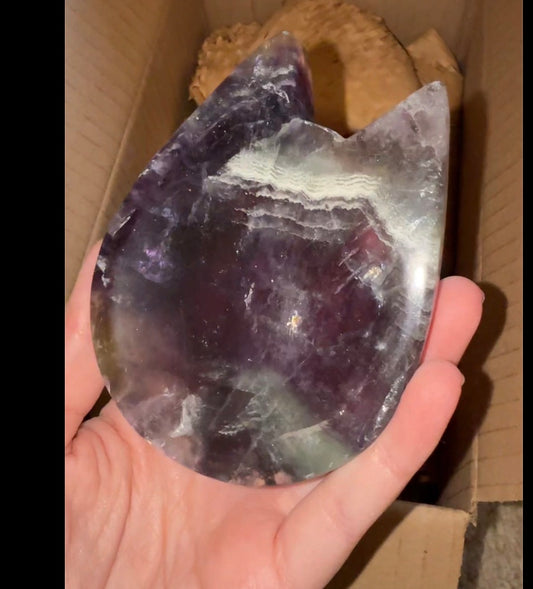 NOT SO MYSTERY $60