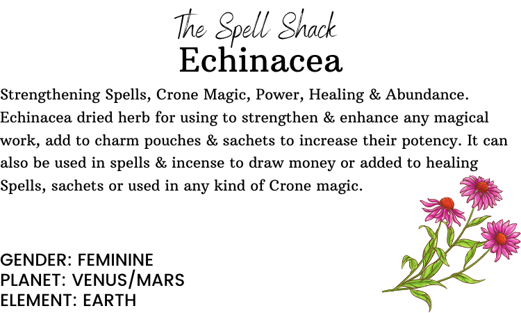 Echinacea