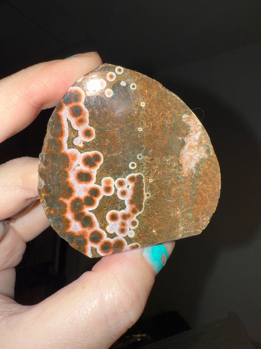 Ocean Jasper Teardrop Freeform