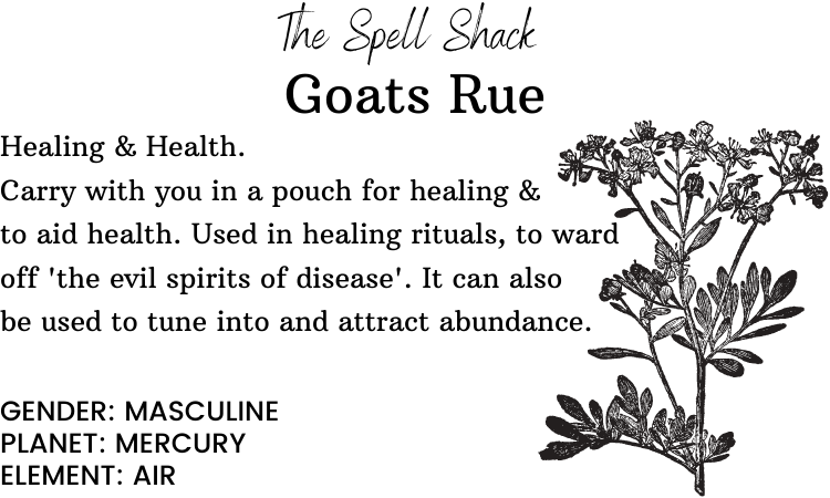 Goat's Rue