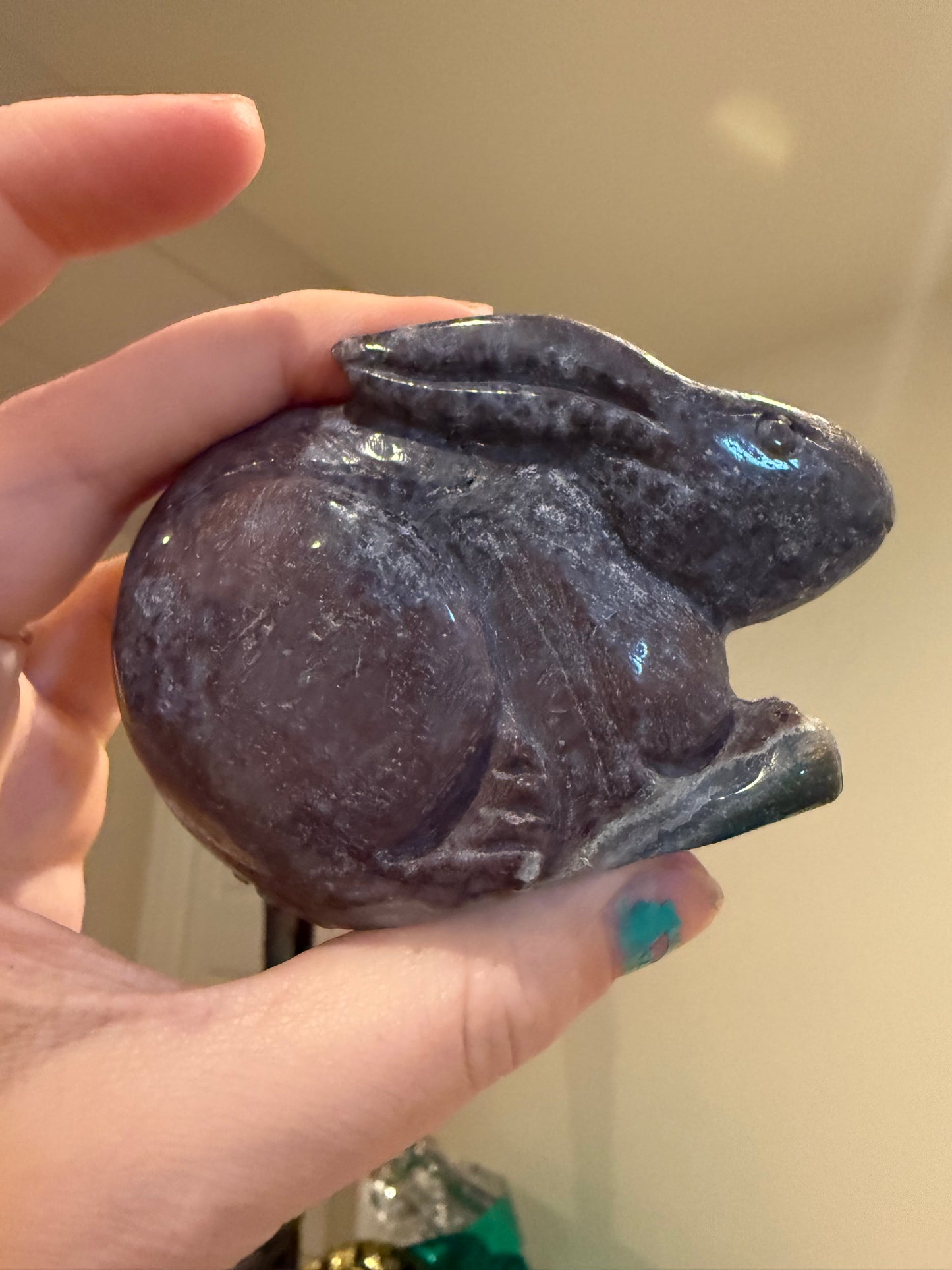 Ocean Jasper Bunny Rabbit