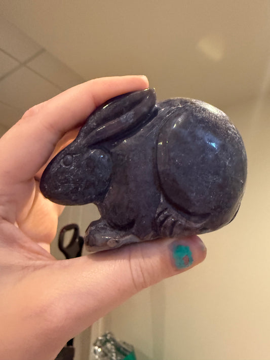 Ocean Jasper Bunny Rabbit