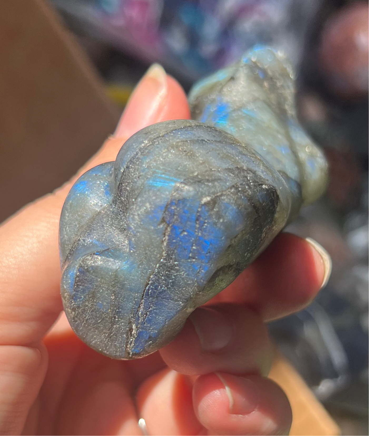 Matte Blue Flashy Lab Body