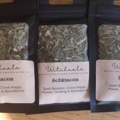 Echinacea