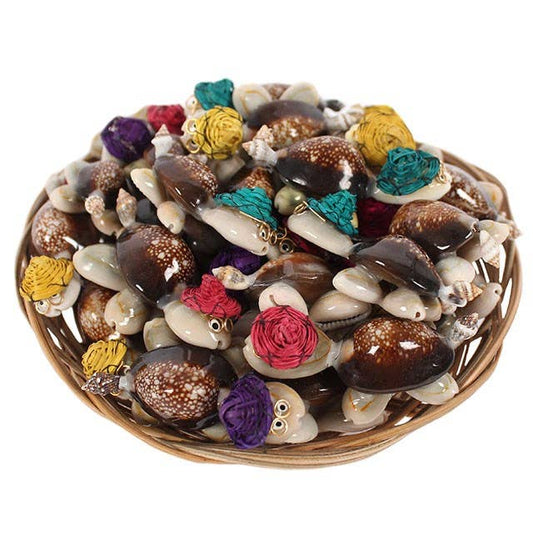 Souvenir Shell Turtle