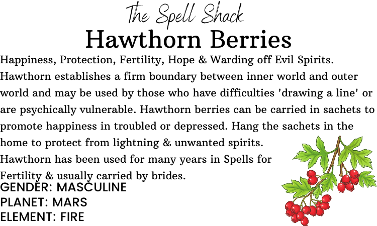 Hawthorn Berries