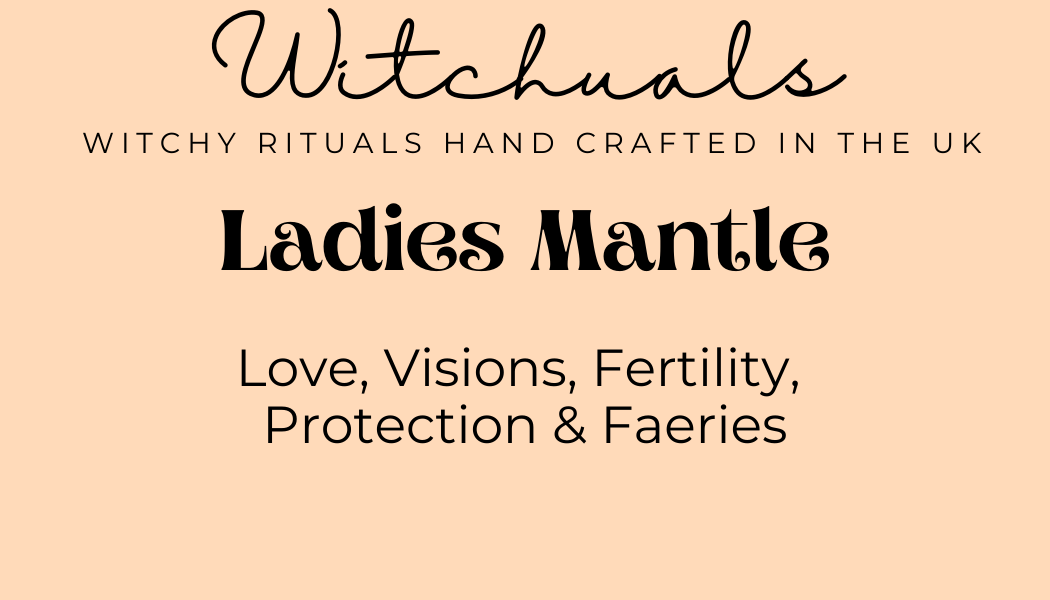 Ladies Mantle