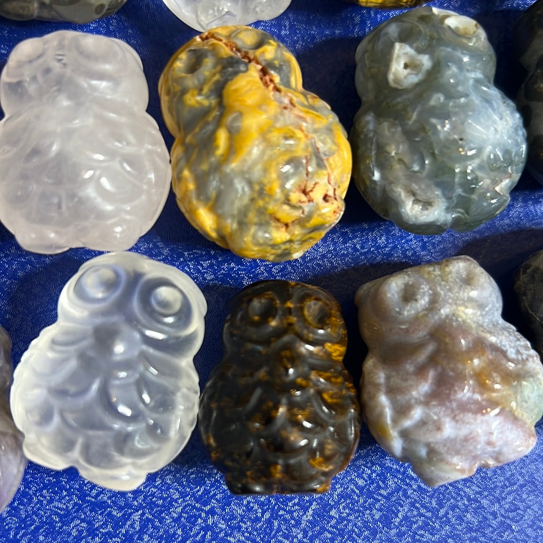 Intuitively Selected Mini Owl (1)
