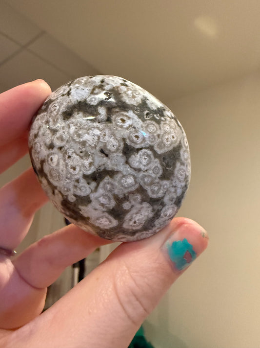 Orbicular Ocean Jasper Palm
