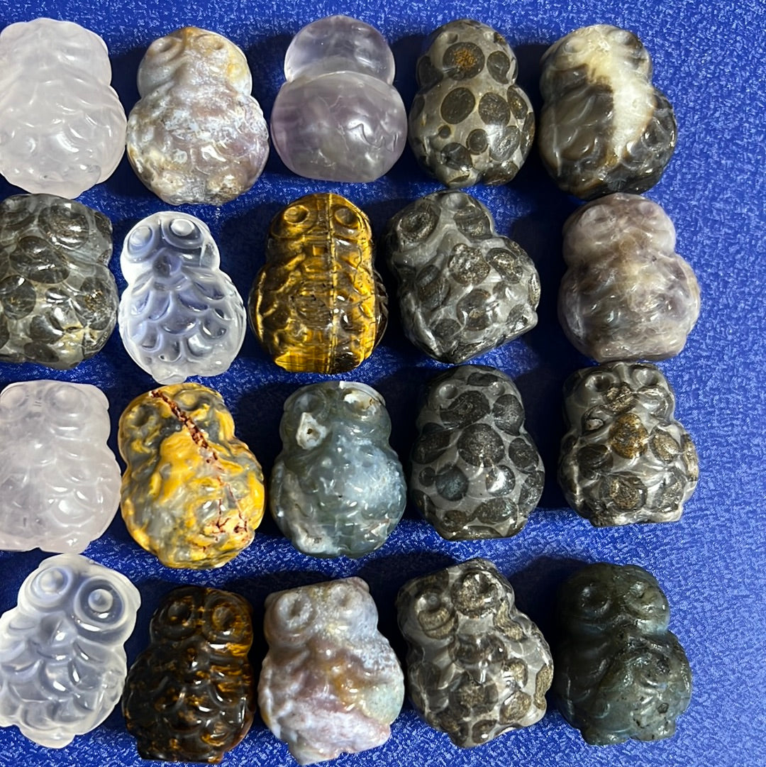 Intuitively Selected Mini Owl (1)