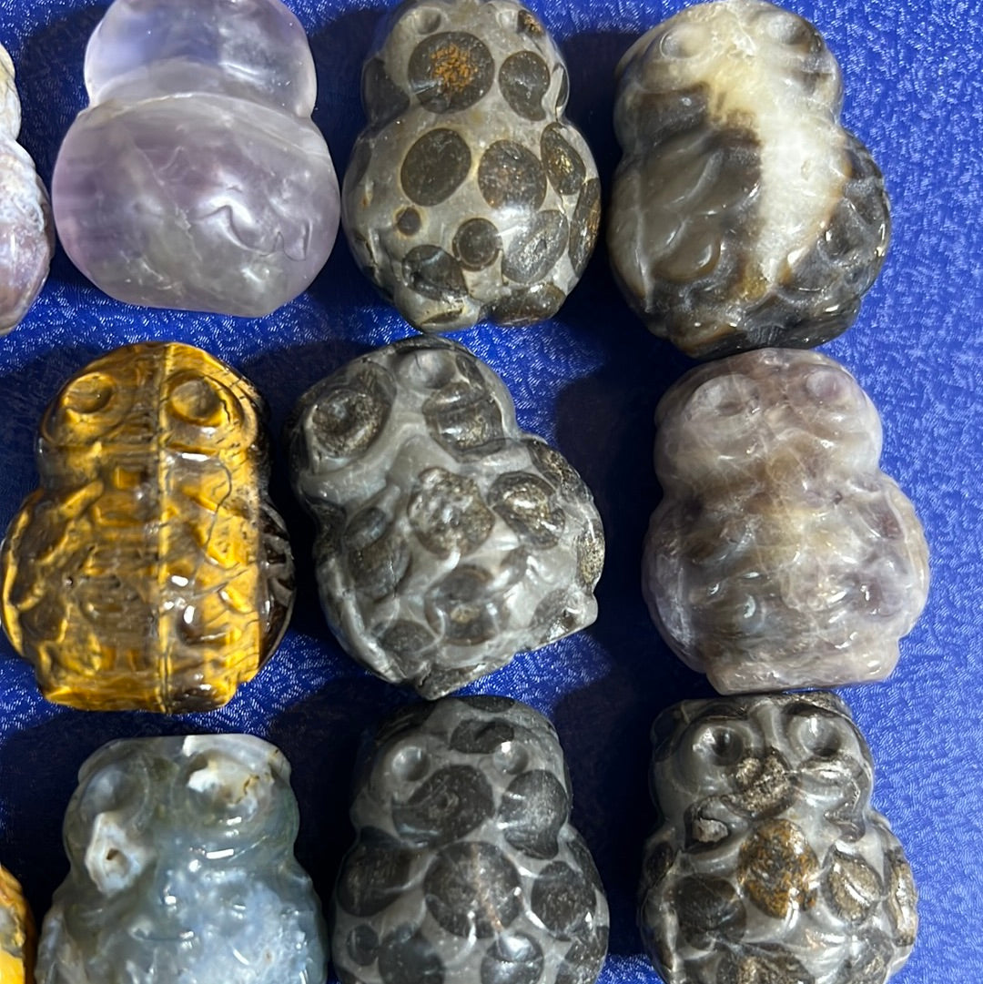 Intuitively Selected Mini Owl (1)