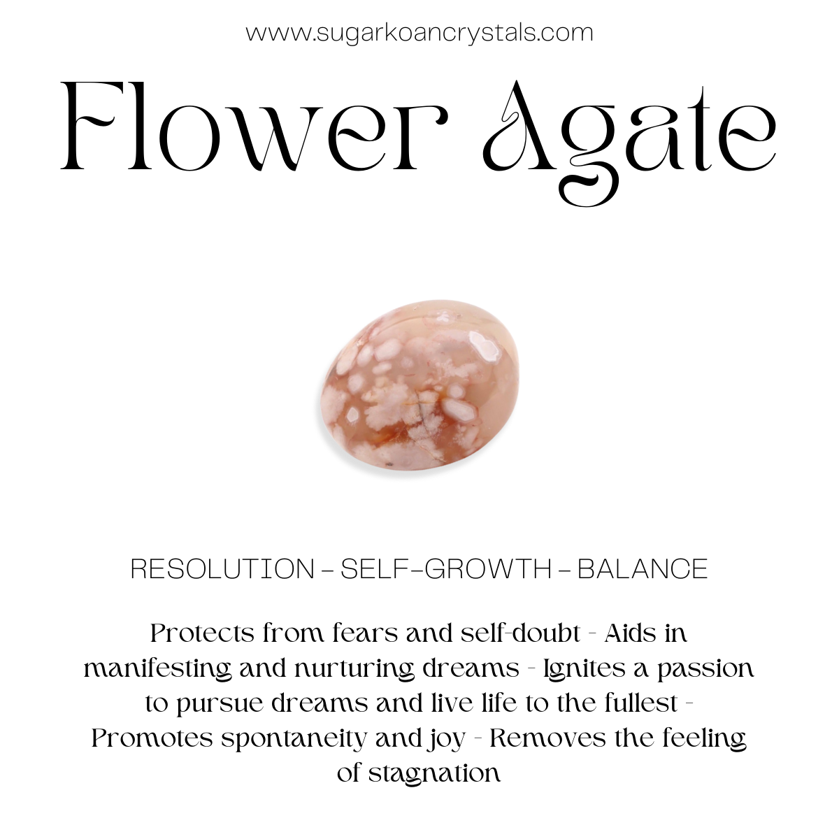 Intuitively Selected Flower Agate Mushroom