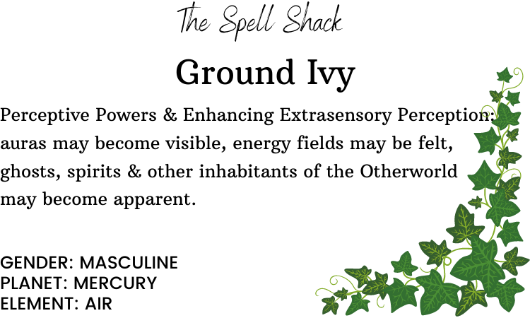 Ground Ivy