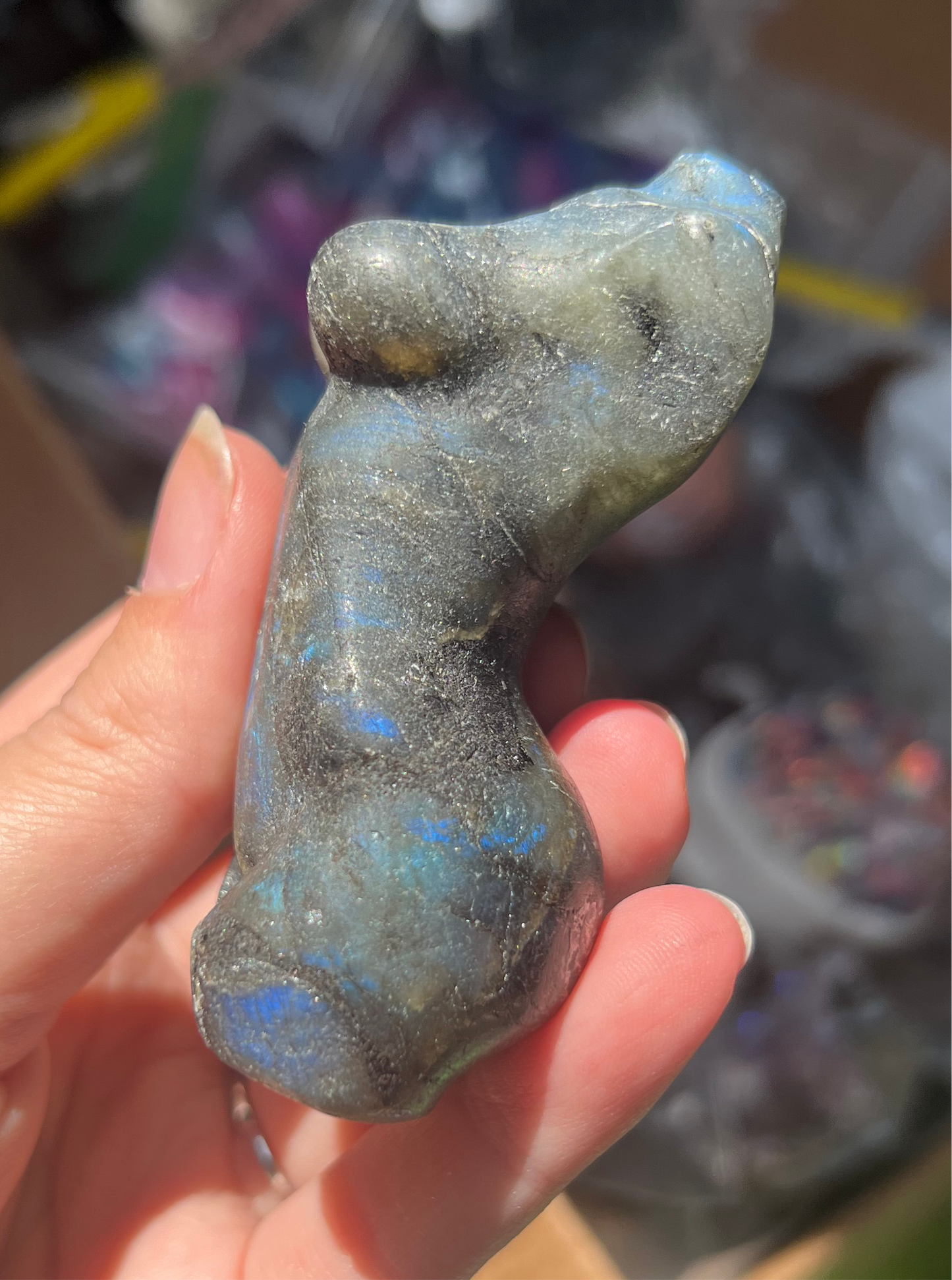 Matte Blue Flashy Lab Body