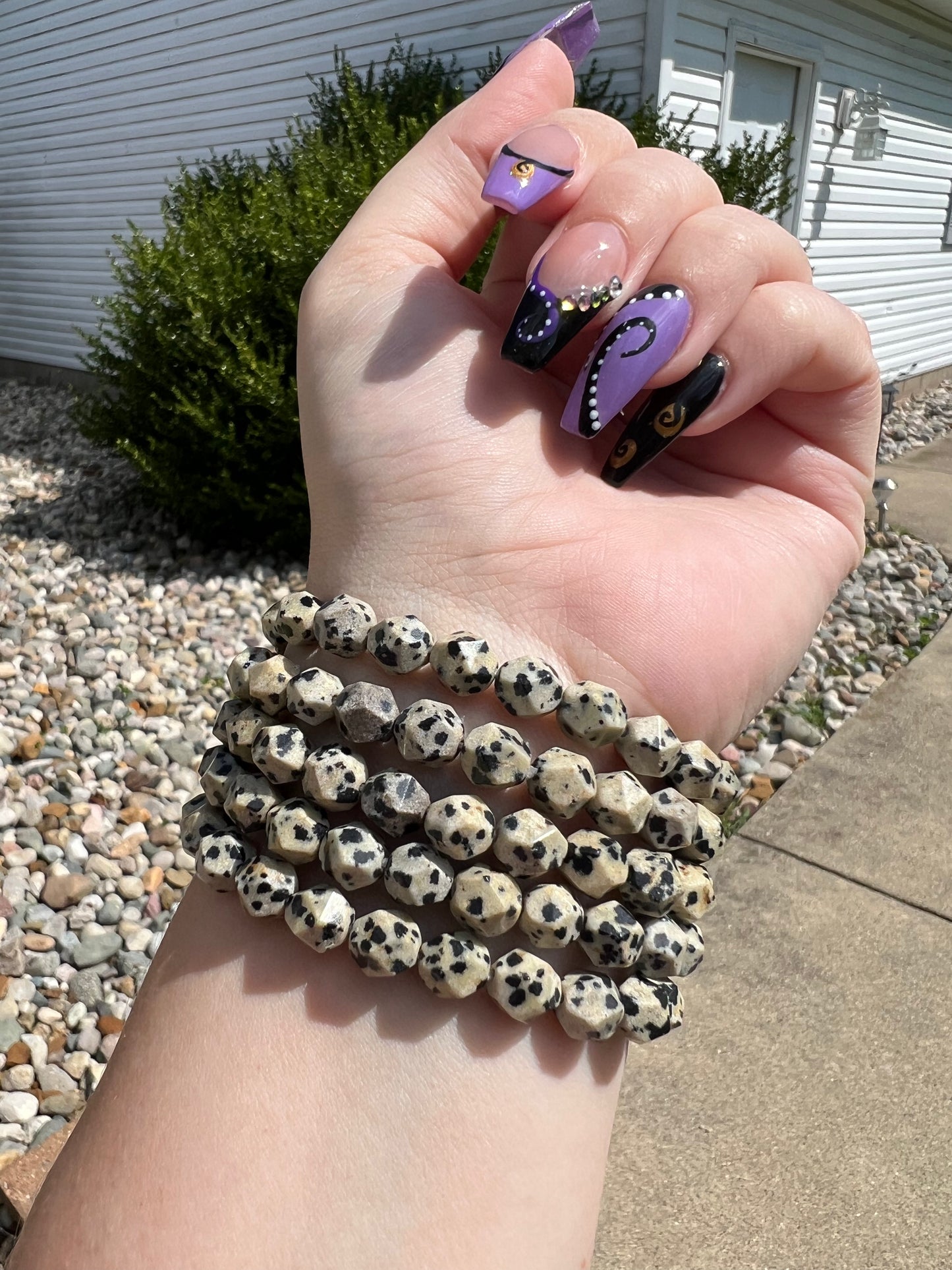 Dalmatian Jasper Bracelet