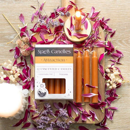 ***PREORDER*** Pack of 12 Orange Attraction Magic Spell Candles
