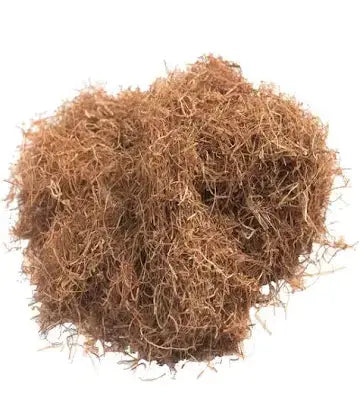 Corn Silk