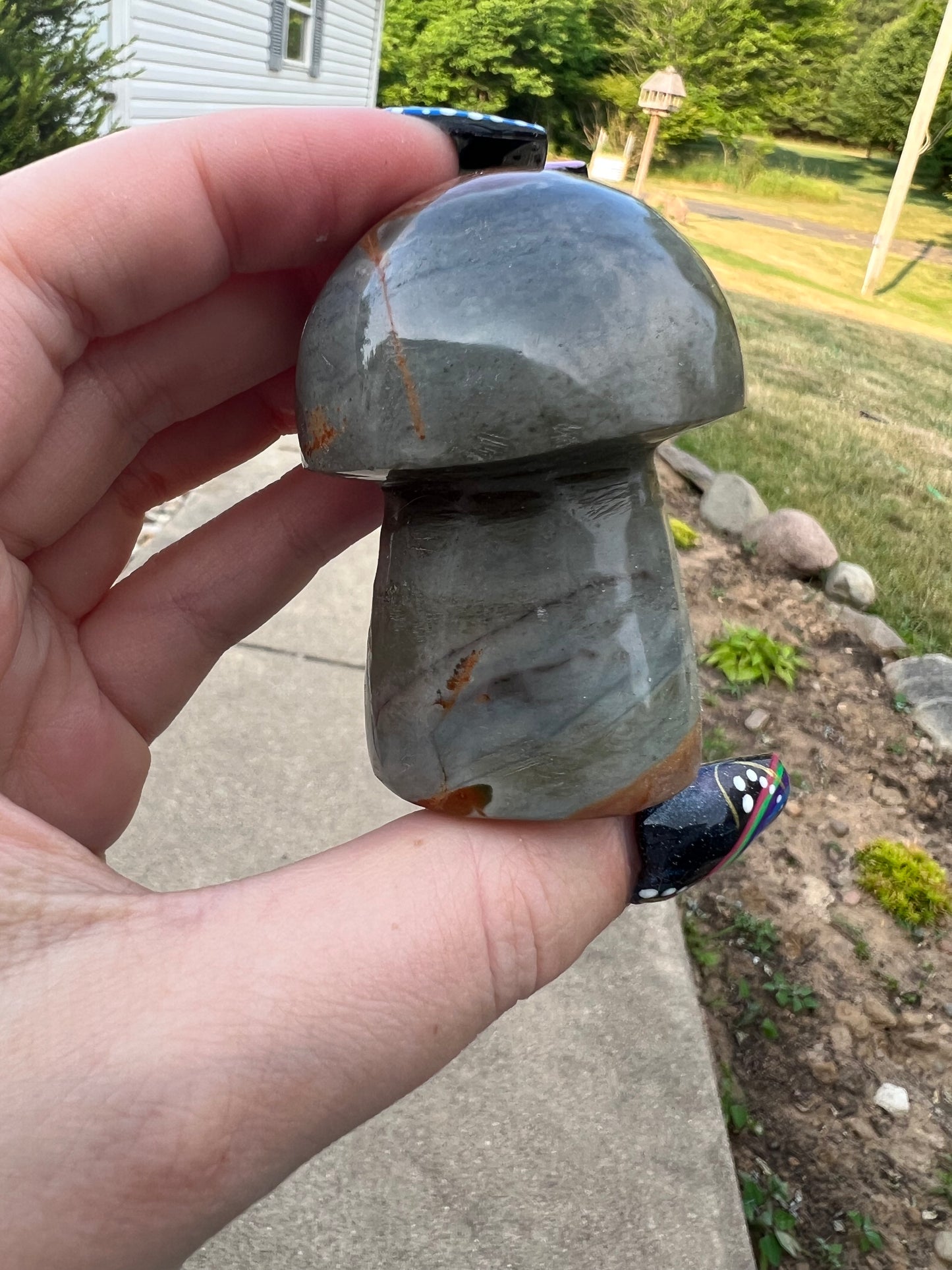 Polychrome Mushroom