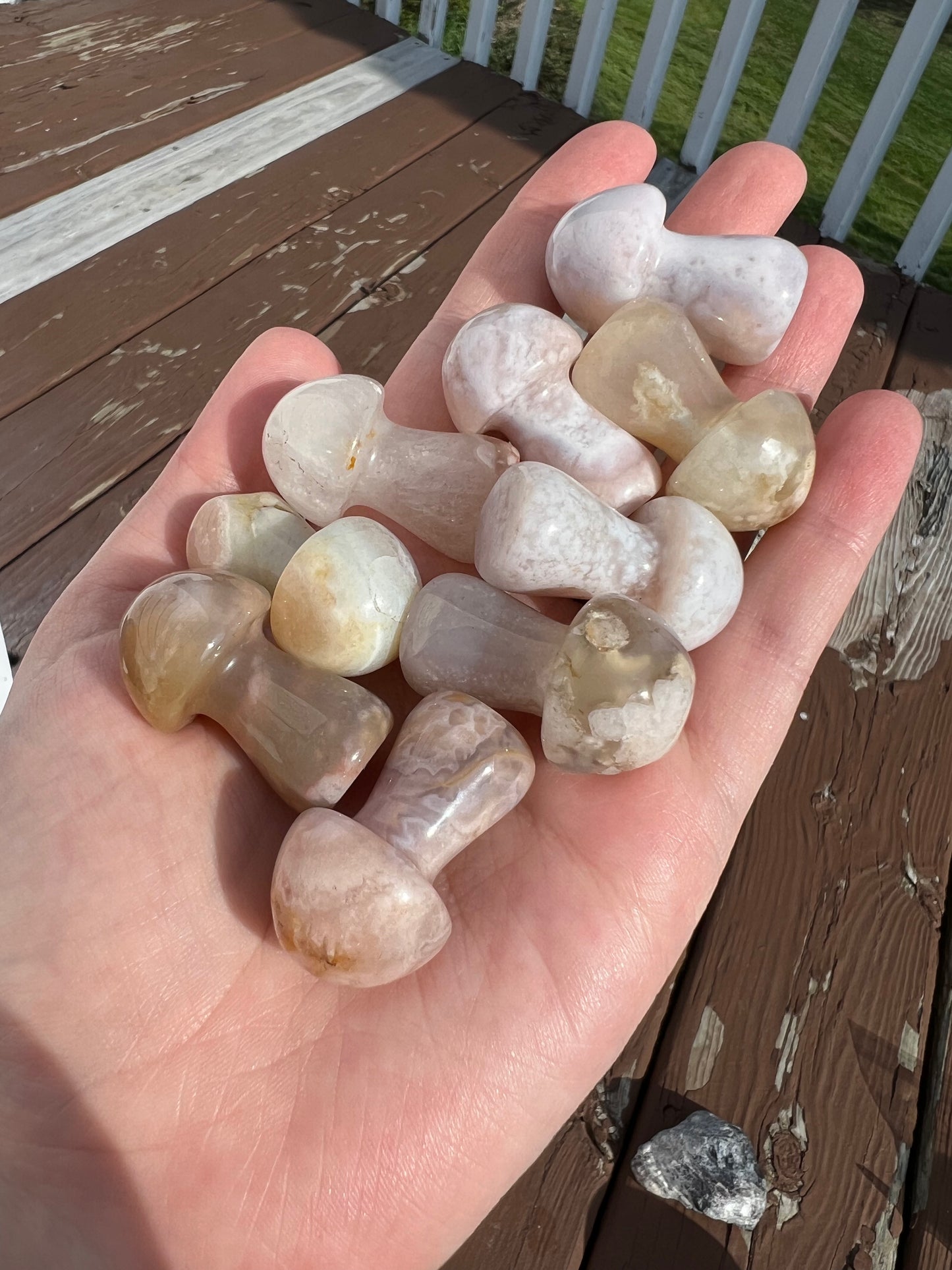 Intuitively Selected Flower Agate Mushroom