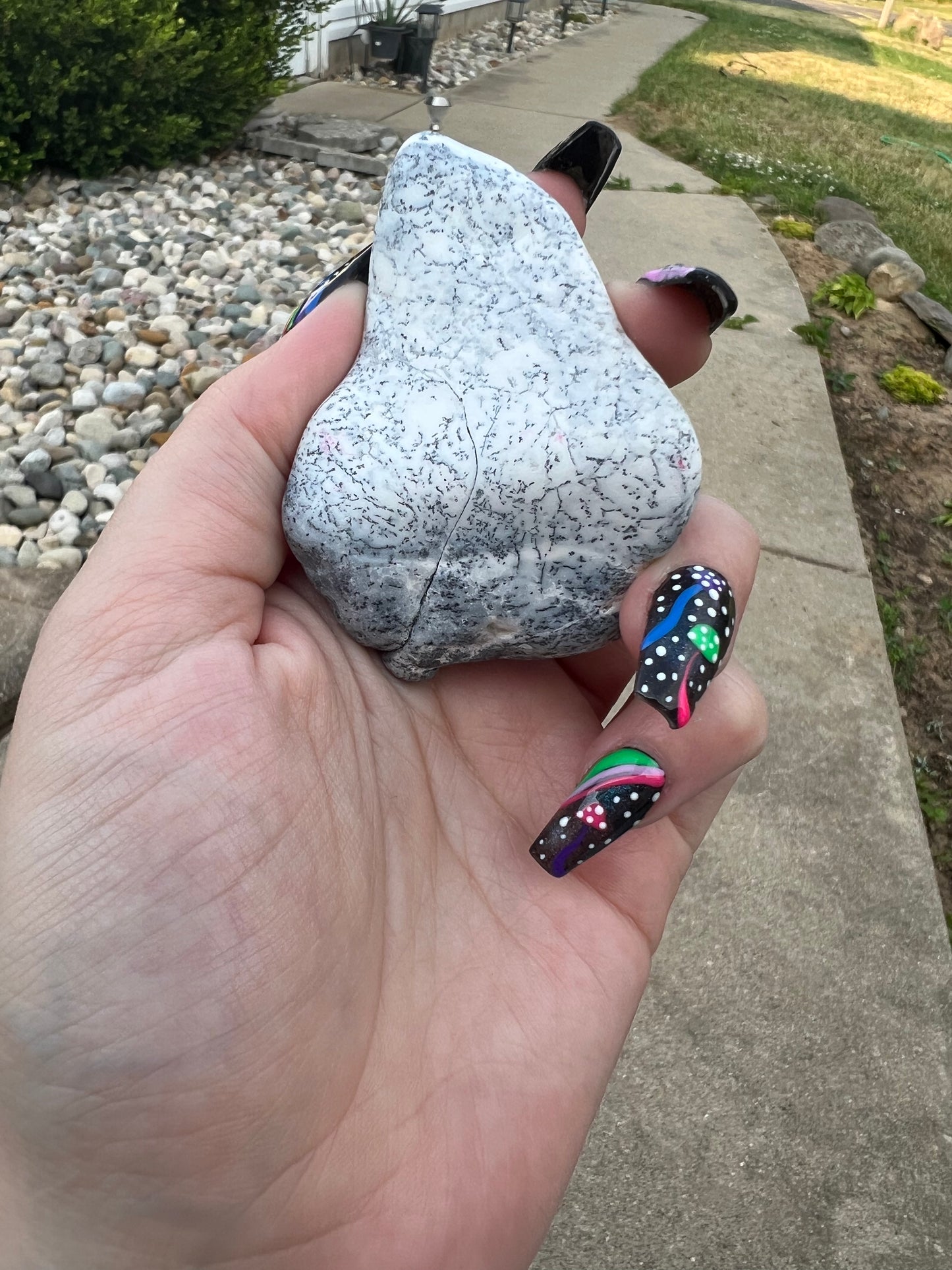 Dendritic Opal