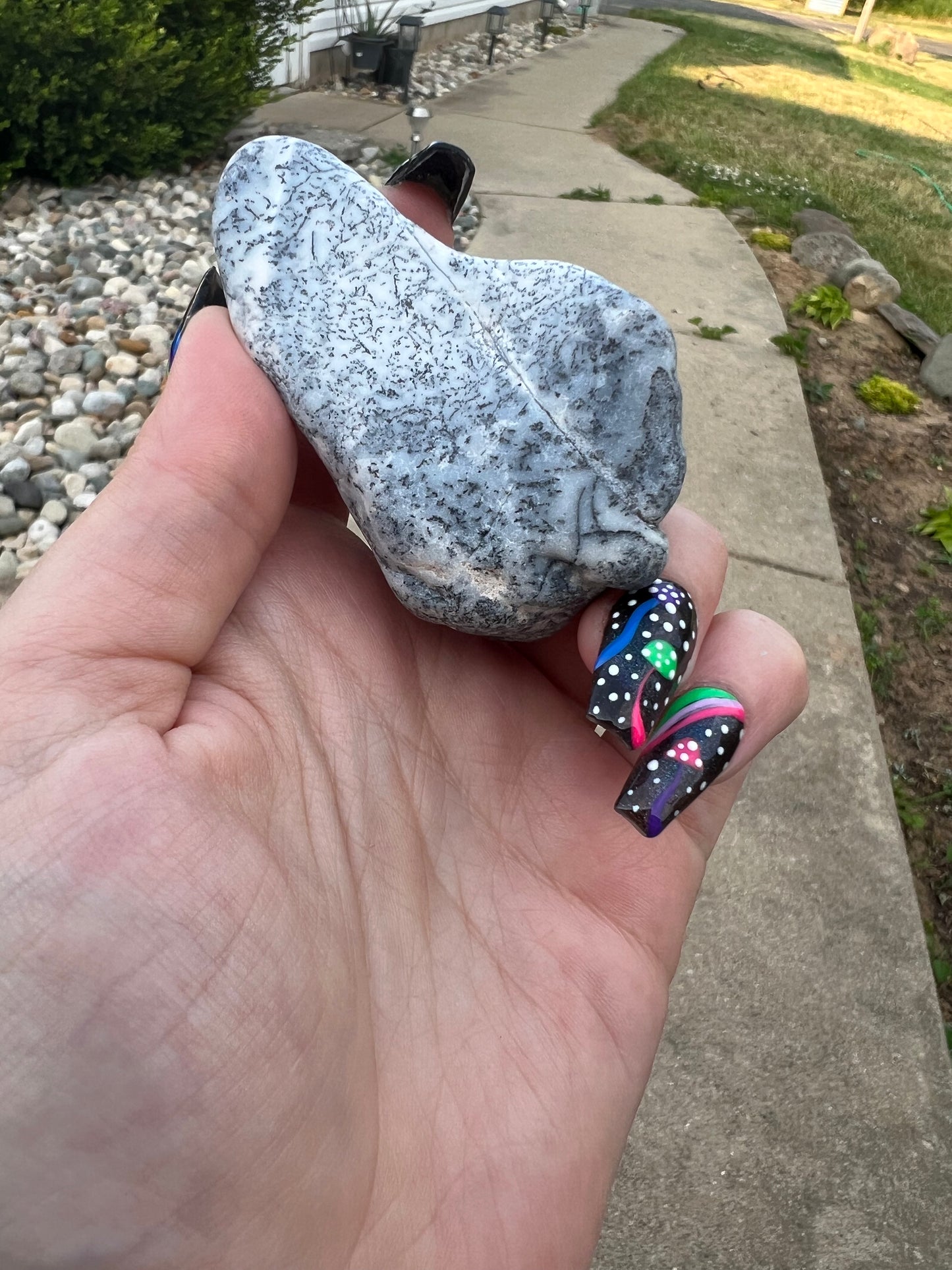 Dendritic Opal
