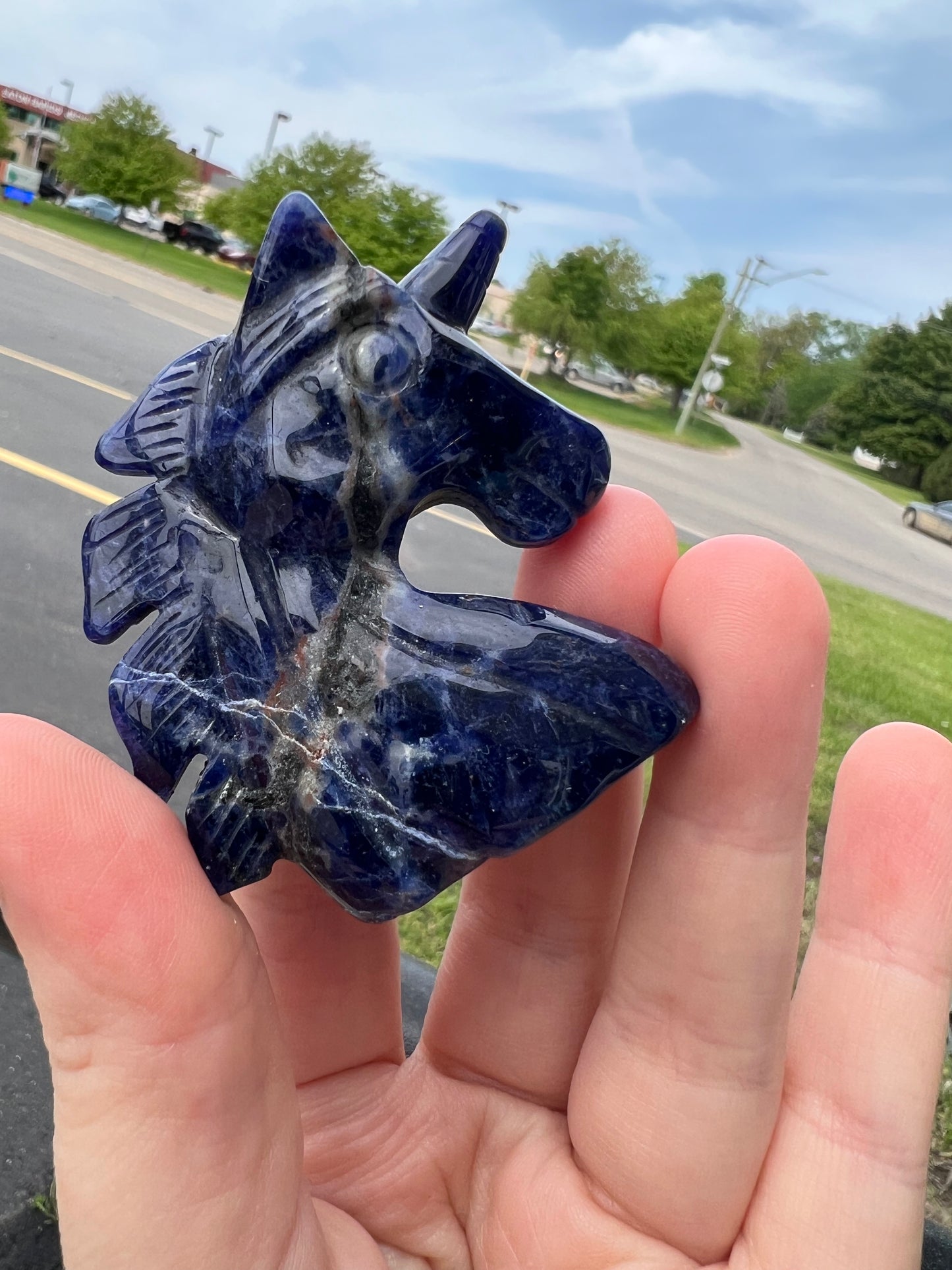 Sodalite Unicorn