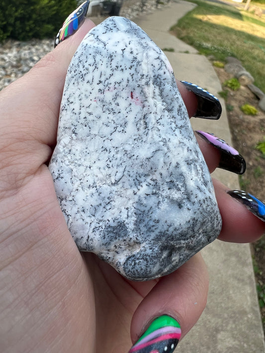 Dendritic Opal