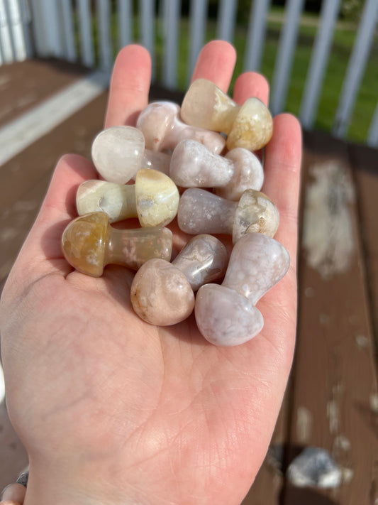 Intuitively Selected Flower Agate Mushroom