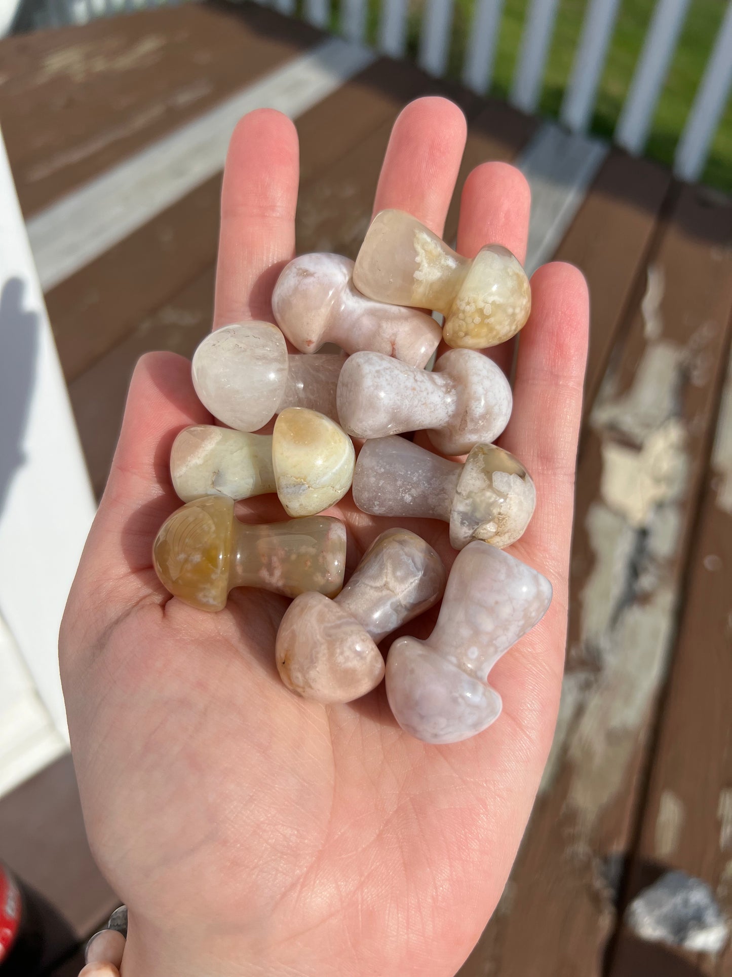 Intuitively Selected Flower Agate Mushroom