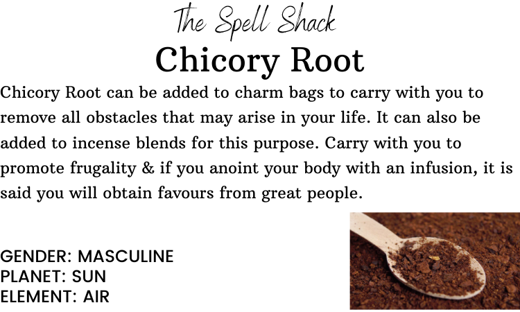 Chicory Root