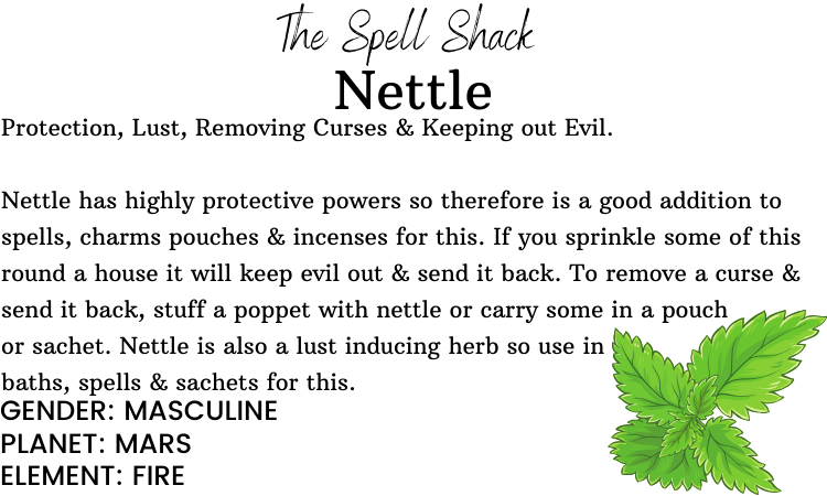 Nettle