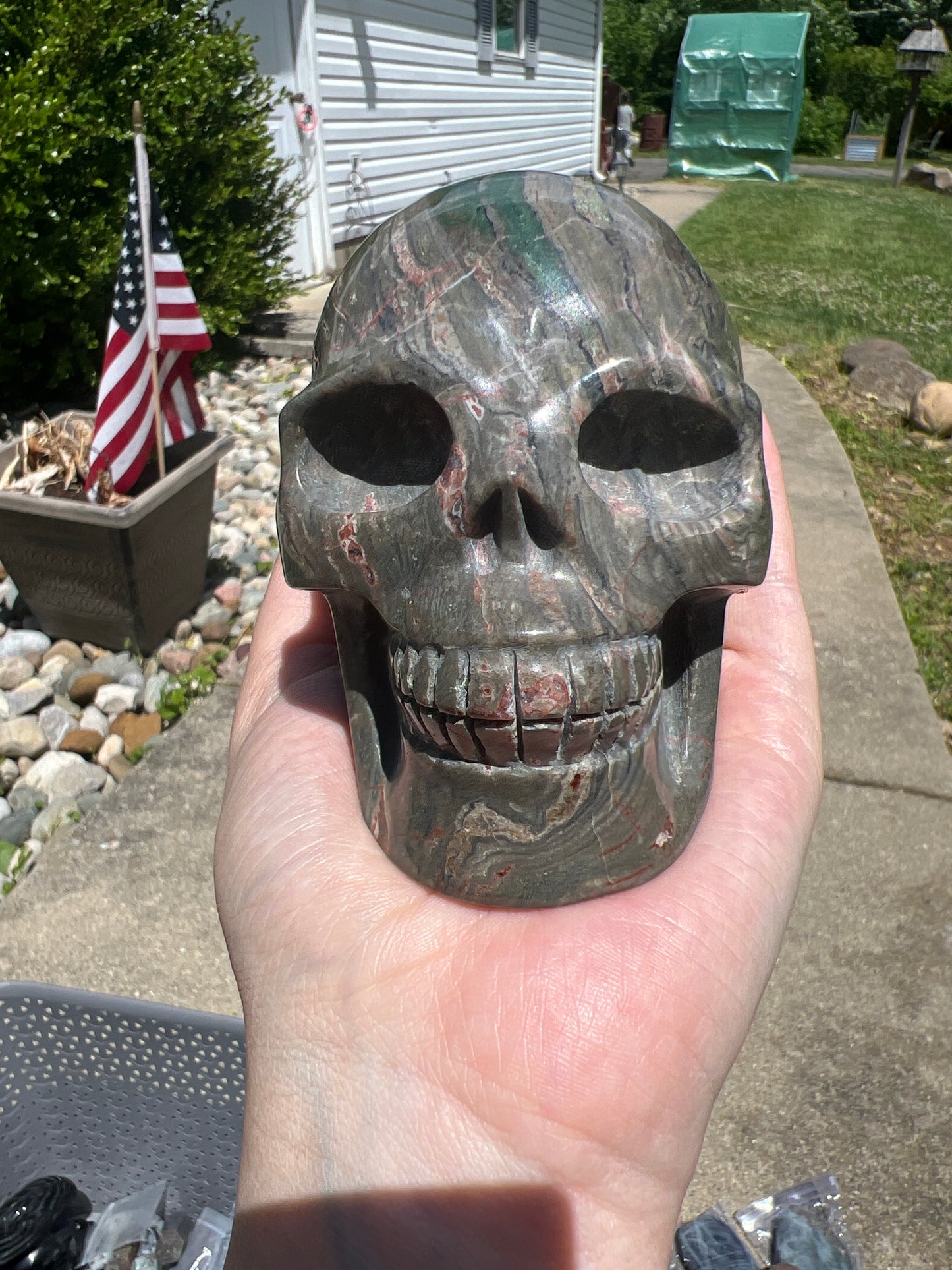 Ocean Jasper Skull