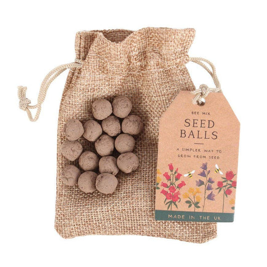 ***PREORDER*** 24 Garden Seed Balls in a Bag
