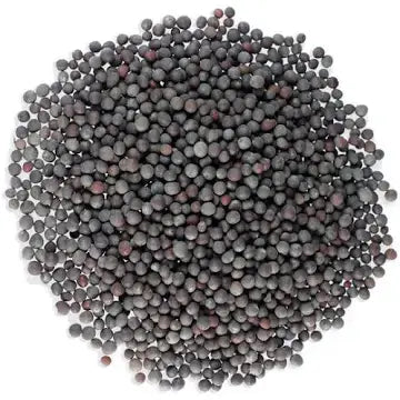 Black Mustard Seeds