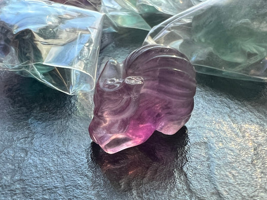 Intuitively Selected 9 Tailed Fox Mini Fluorite