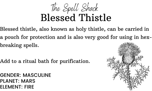 Blessed Thistle