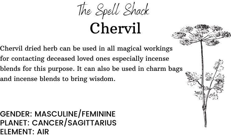 Chervil