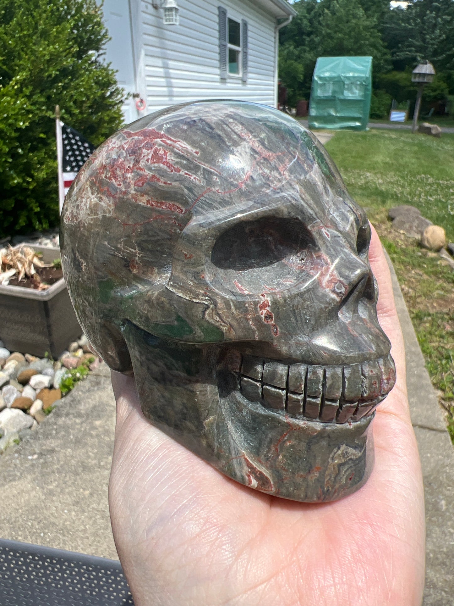 Ocean Jasper Skull