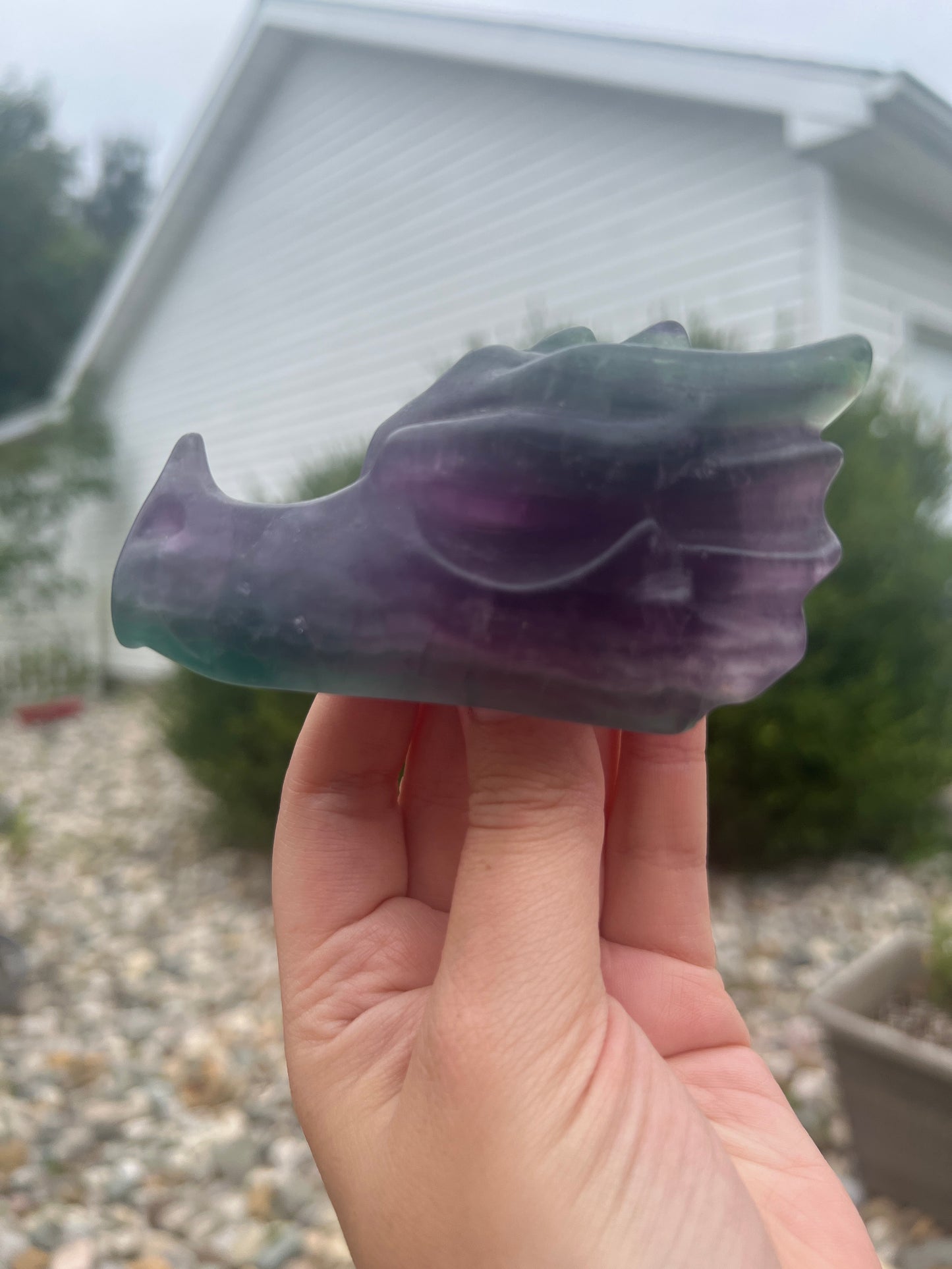 Fluorite Dragon Skull