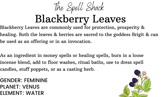 Blackberry Leaves