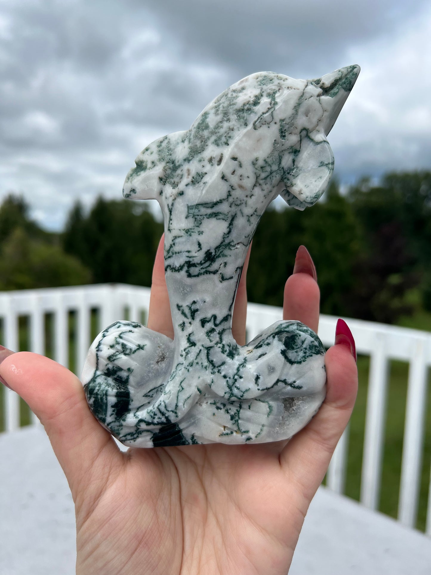 Moss Agate Dolphin