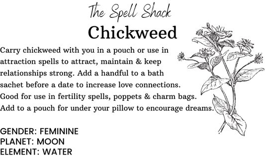 Chickweed