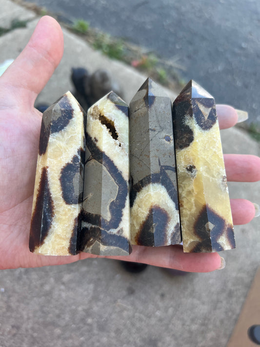 Septarian Point