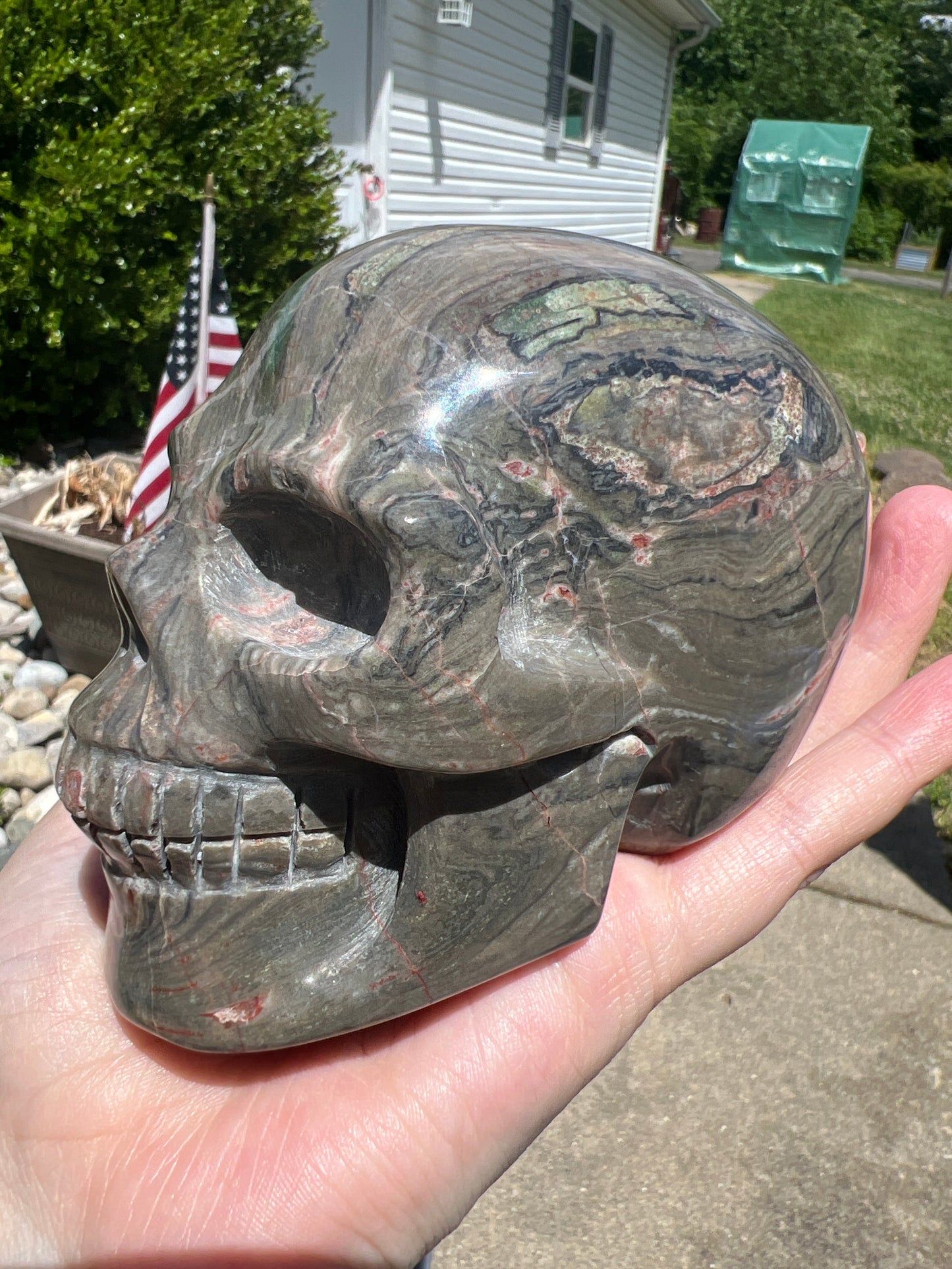 Ocean Jasper Skull