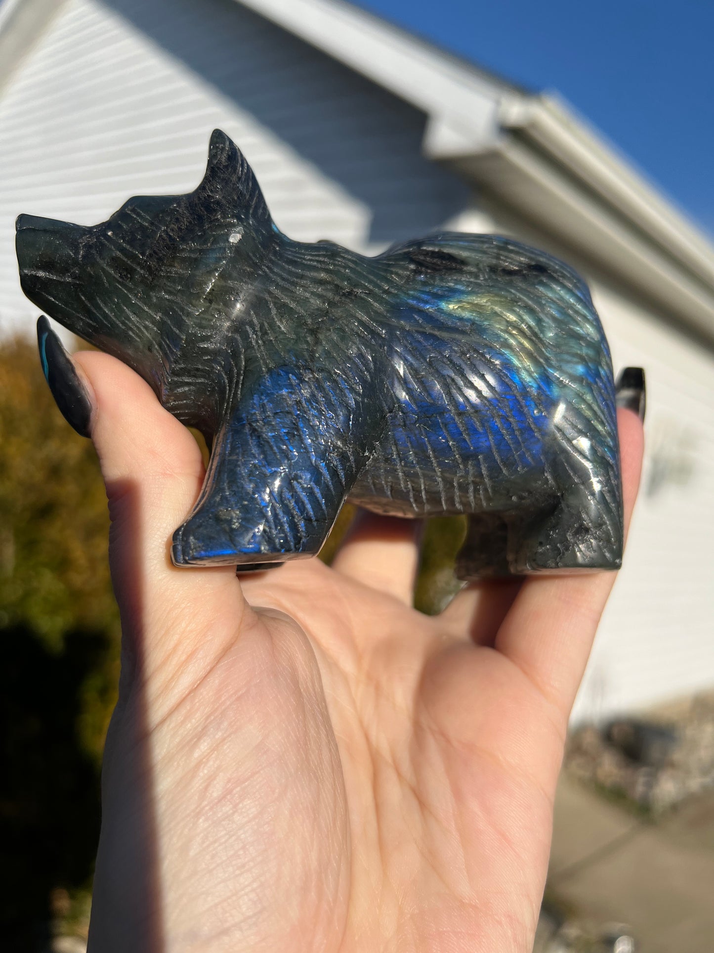 Labradorite Bear